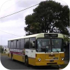 Stagecoach Auckland Yellow Bus livery